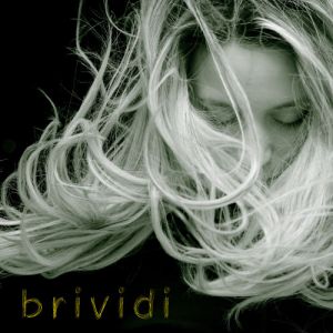 BRIVIDI